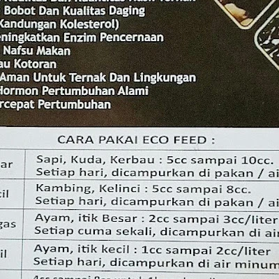MUHDIR AGEN ECORACING