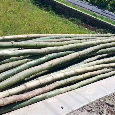 Grosir Bambu Sokaraja