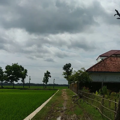 Nonjok gaul