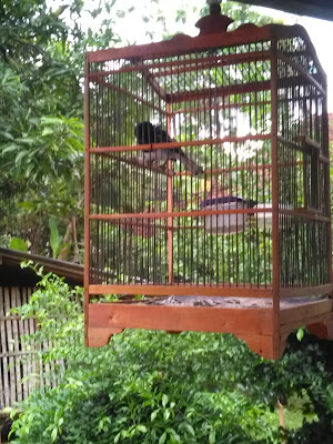 Cetiya Dharmakusala