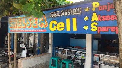Chelsea Cell