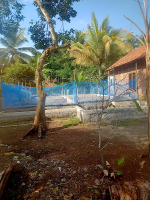 Cilok MamaNi karang kemiri RT01/1jeruk legi Cilacap