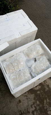 Cireng mantap 01