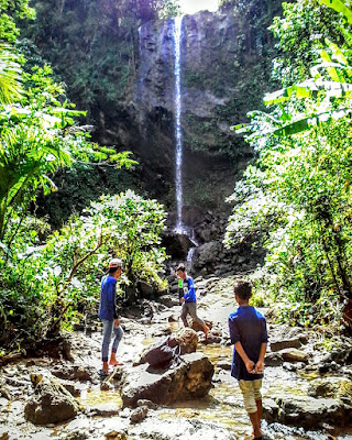 Curug Citepus