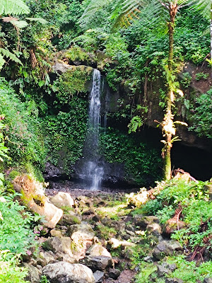 Curug Kartam Kebun Raya Baturraden