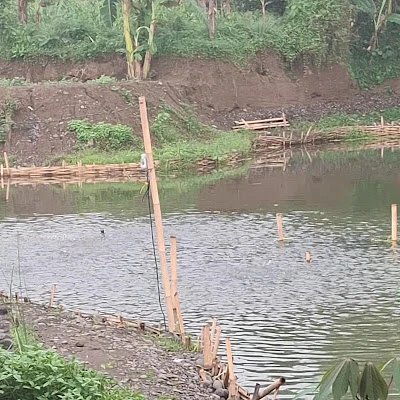 Lapak Sido muncul