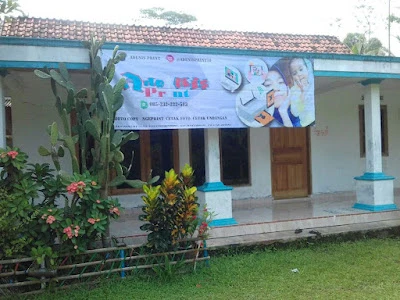Adenis print