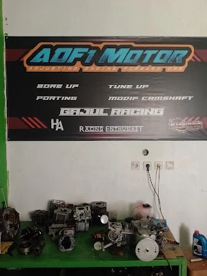 Adf1 motor