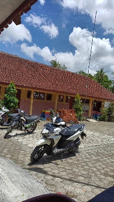 SDN Bulusari 01