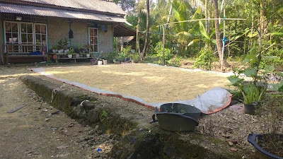 Pijat Urut Tradisional Bu Admi