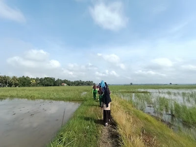 MI Ma'arif NU 14 Cisumur