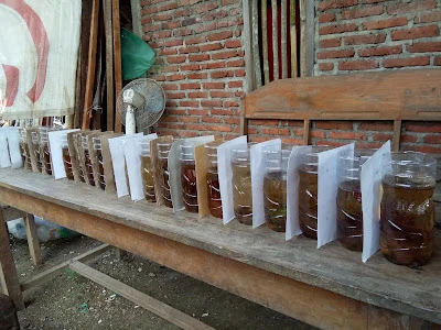 Raden Fatah Shop