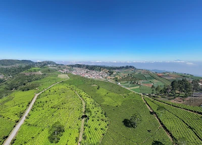 JASA SEWA DRONE TERDEKAT