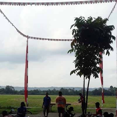 Lapak BMR