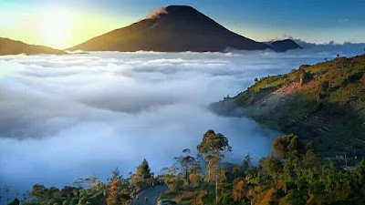 Diono Travel linggamas