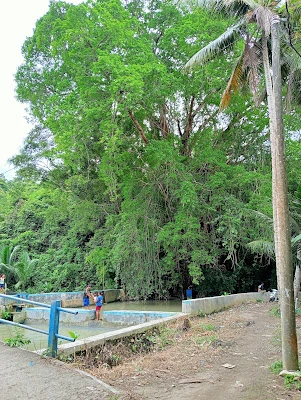 Mata Air