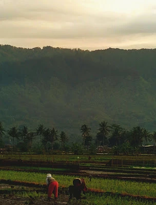 Noren Tunangan Tarna