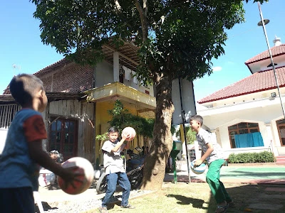 Komunitas Halaman Group