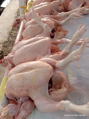 Dapur Fattah