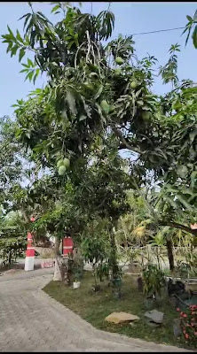 DAPUR VEGA