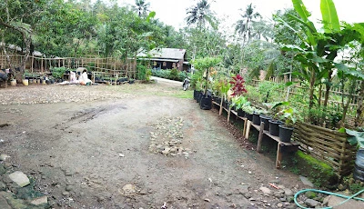 Koperasi Manis Jaya Sejahtera (MJS)