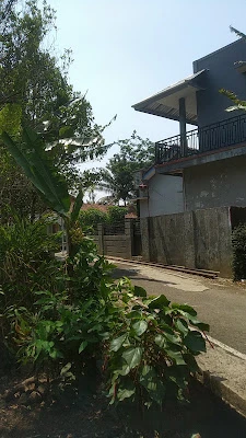 Rumah Mas Ayub