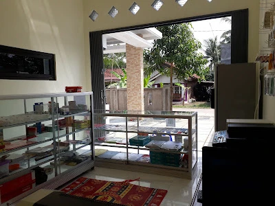 Agen BRIlink Viva