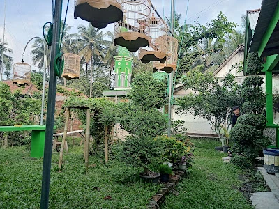 D'ZONA BIRD FARM