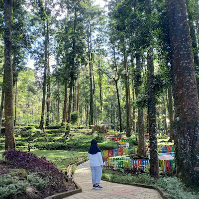 De Damaran Wisata Alam