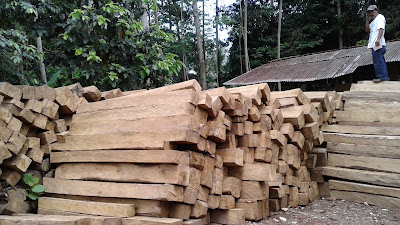 Depo Kayu Laban Teguh Cahyadi