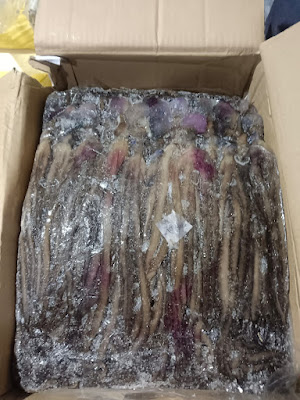 Depot Sikansap - Ikan Frozen & Ikan Asap Cilacap