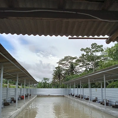 Kolam pemancingan