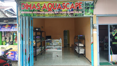 Dimas aquascape