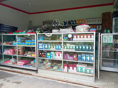 DK STORE ELEKTRONIK