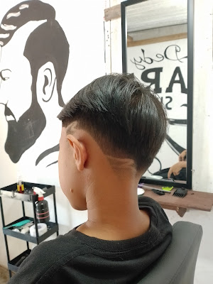 DM HOUSE CUT STUDIO