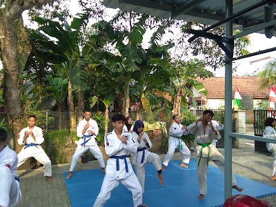 Dojo Maos Institut Jujitsu Indonesia