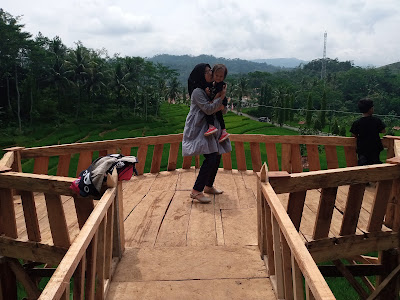 DRAISVIEW
