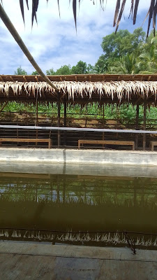 D'RUBUNG FISHING