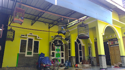 Dz Jaya BF