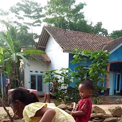 Mushola Badrul Munir