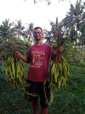3N FARM