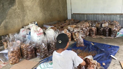 WALA SARI Coconut Palm Sugar
