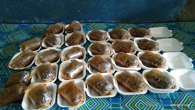 Tutut PEDAS Va-Ve