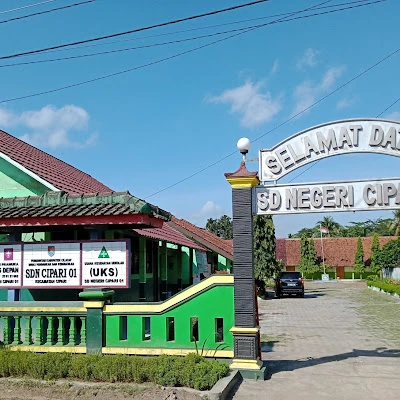 SDN Cipari 04