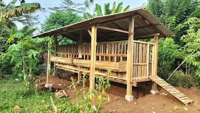 Juna kandang