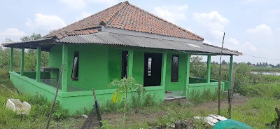 MUSHOLA PAK ELI