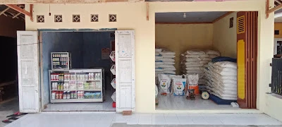Benih Pakcoy Unggul Pratama AgroNusa