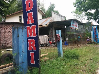 Damri