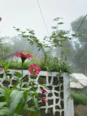 Wina Homestay