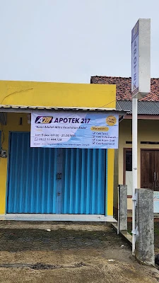 APOTEK 217